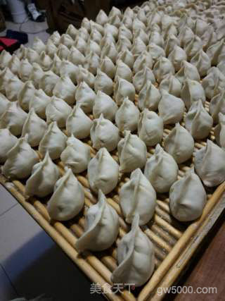 【山西】胡萝卜羊肉饺子的做法步骤：12
