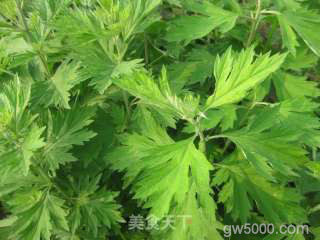 腌菜艾米果的做法步骤：8