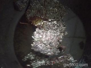 福鼎肉片的做法步骤：10