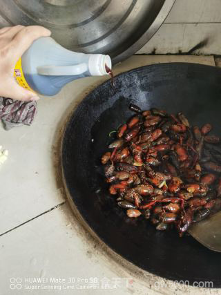 香辣龙虾的做法步骤：7