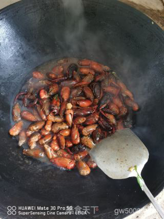 香辣龙虾的做法步骤：9