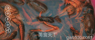 珐琅锅焖小龙虾的做法步骤：2