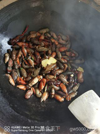 香辣龙虾的做法步骤：4