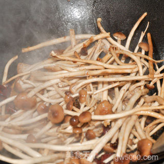 干锅茶树菇的做法步骤：10