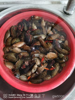 香辣龙虾的做法步骤：1