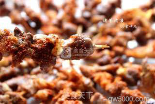 烤羊肉串的做法步骤：16
