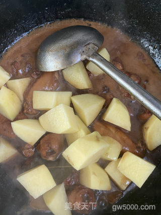 简易版大盘鸡的做法步骤：19