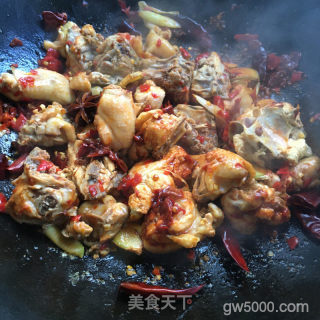 家常大盘鸡的做法步骤：9