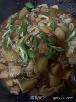 家庭版大盘鸡的做法步骤：14