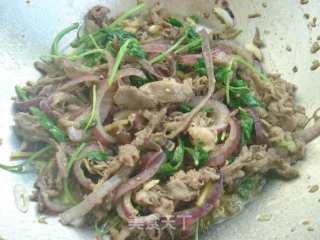 孜然羊肉的做法步骤：10