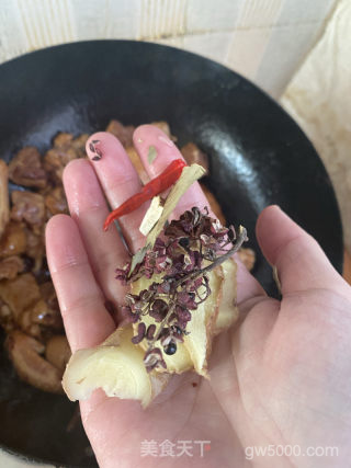 简易版大盘鸡的做法步骤：13