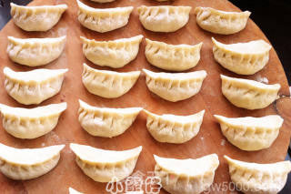 生煎素锅贴的做法步骤：8