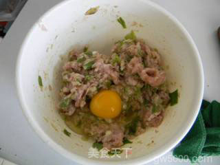 舌尖2美食——鲜肉锅盔的做法步骤：5
