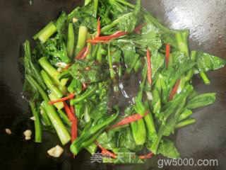 清炒菜心的做法步骤：7