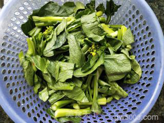 清炒菜心的做法步骤：2