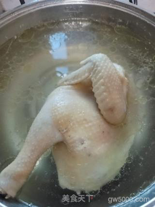 姜蓉鸡的做法步骤：3