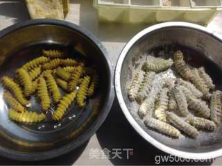 油炸大绿虫子（柞zuò蚕）的做法步骤：4