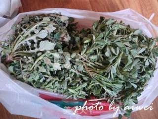 苜蓿鸡蛋卷的做法步骤：1
