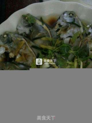 清蒸小鲳鱼的做法步骤：8