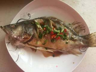 清蒸鳜鱼的做法步骤：9