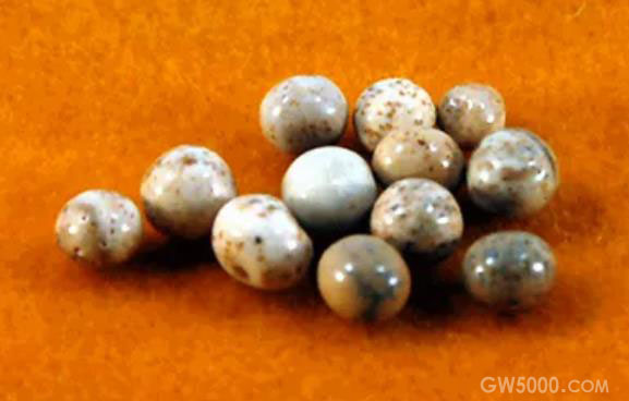 舍利子是怎么形成的？什么人才会有？