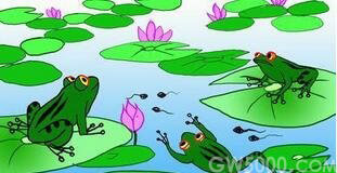 池塘里的数十万只青蛙
