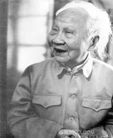 >画像