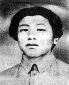 >画像