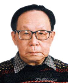 >画像