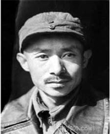 >画像