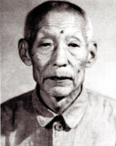 >画像