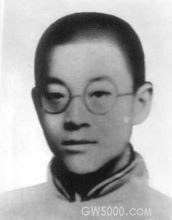 >画像