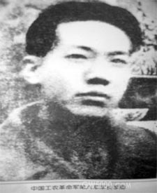>画像