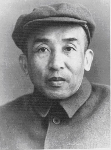 >画像