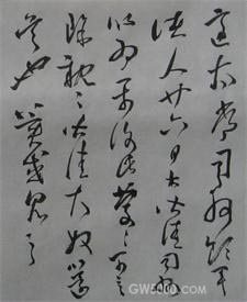 >画像