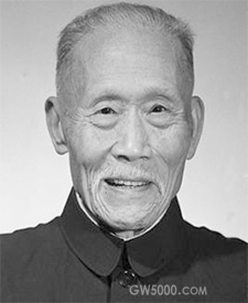 >画像