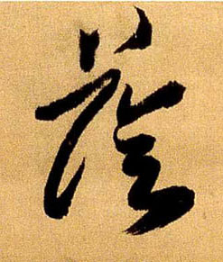 荫的书法