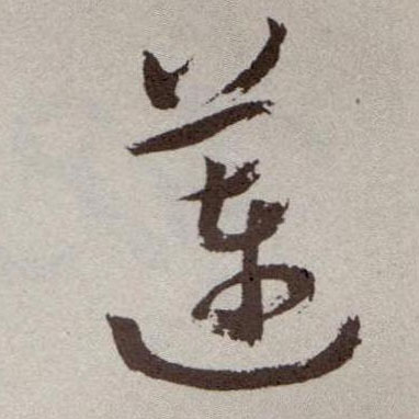 莲的书法