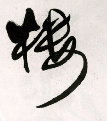 楼的书法
