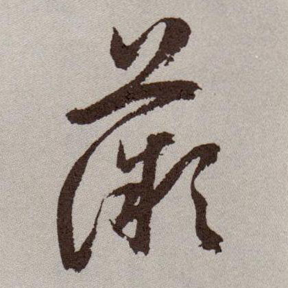薇的书法