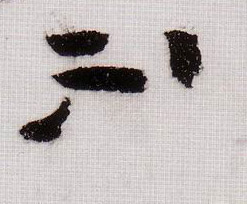 不的书法