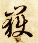 岳的书法