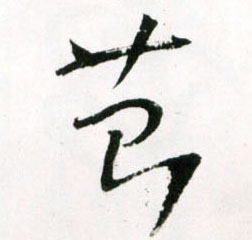 苔的书法