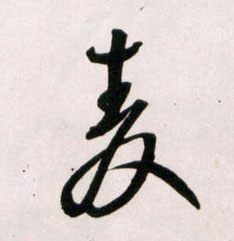 麦的书法