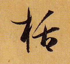 栝的书法