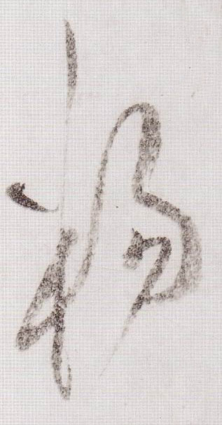 杨的书法