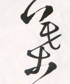 叶的书法