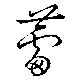 蕾的书法