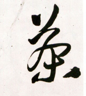 茶的书法