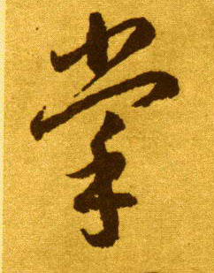 掌的书法